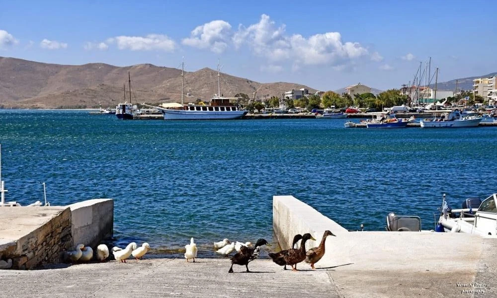 Κάρυστος: Ένας καυγάς αλλοδαπών στο λιμάνι κατέληξε σε άγριο μαχαίρωμα- Ένα άτομο τραυματίστηκε ενώ άλλο ένα συνελήφθη